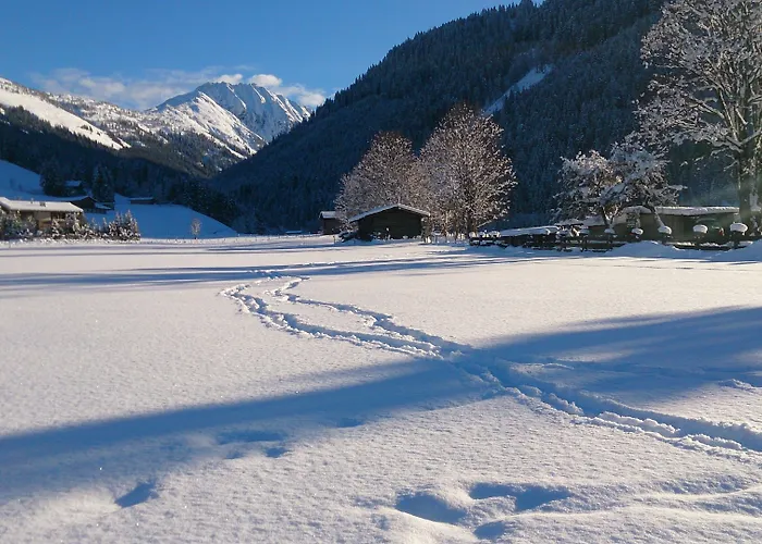 Aschauer Hof Z'fritzn