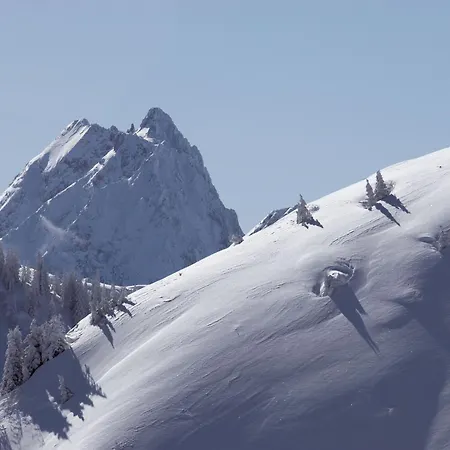 Aschauer Hof Z'fritzn Hotell Kirchberg in Tirol