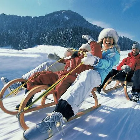 Hotell Aschauer Hof Z'fritzn 3*