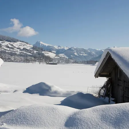 Aschauer Hof Z'fritzn 蒂罗尔-基希贝格