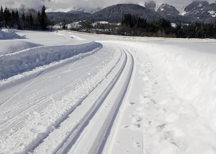 酒店 Aschauer Hof Z'fritzn 3*