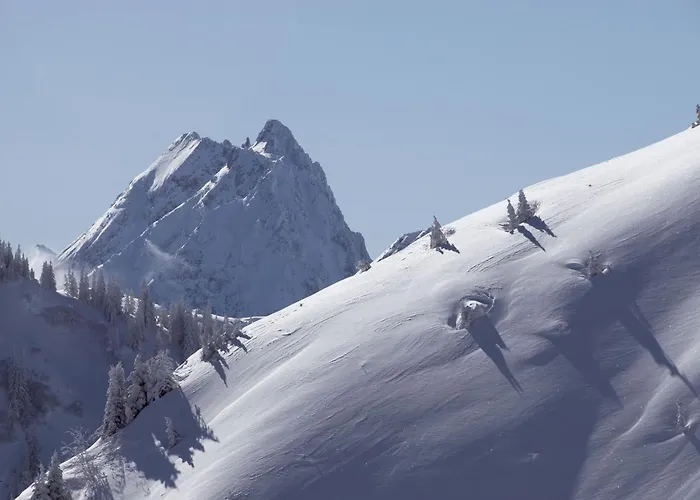 Aschauer Hof Z'fritzn 酒店 蒂罗尔-基希贝格